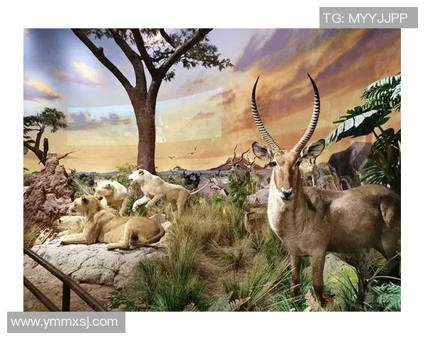 亲近自然,探索未知:开启全季户外活动之旅,畅享健康与冒险的完美结合