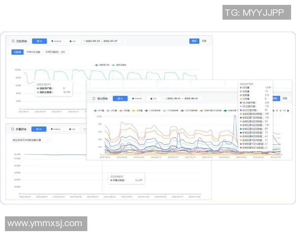 基于统计分析方法探索大数据时代社会经济发展趋势的多维度研究