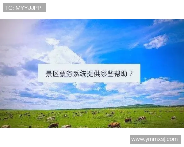 智能票务系统助力提升用户体验与运营效率全面解析