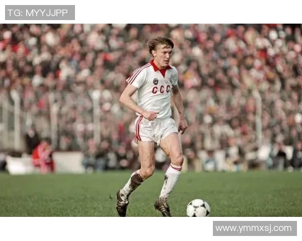 欧洲杯历史回顾与未来展望:从辉煌到挑战,欧洲足球的变迁与发展