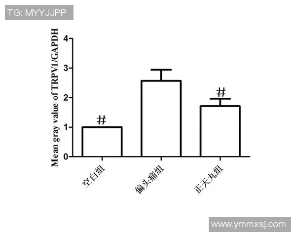 游泳对心理健康的积极影响与情绪调节机制探究