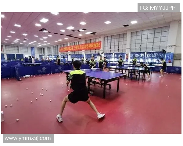 专访乒乓球名将陈敏揭秘她成功背后的心路历程与训练秘诀